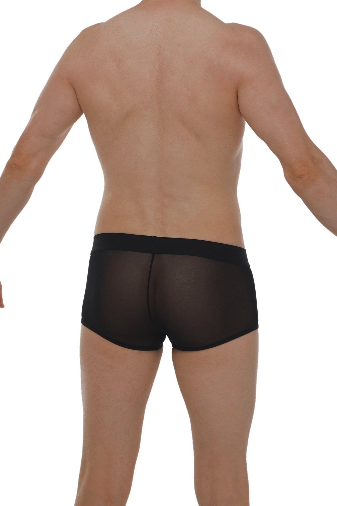 Boxer PetitQ Net Schwarz