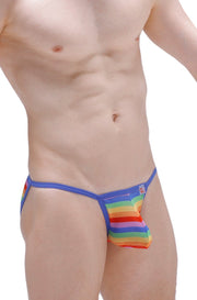 Kini Net Rainbow